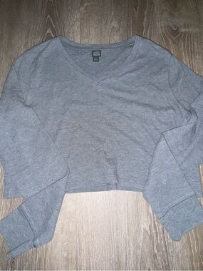 Wild Fable Gray Ribbed V-Neck Cropped Top